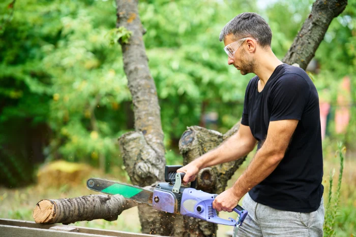 Brisbane Tree Removal Pricing